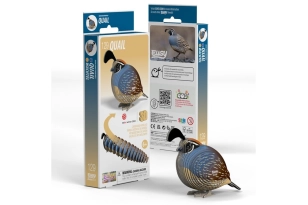 Eugy Guatlla californiana