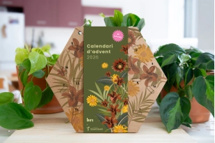 Calendari d'Advent Bridepalla d’Eixarcolant