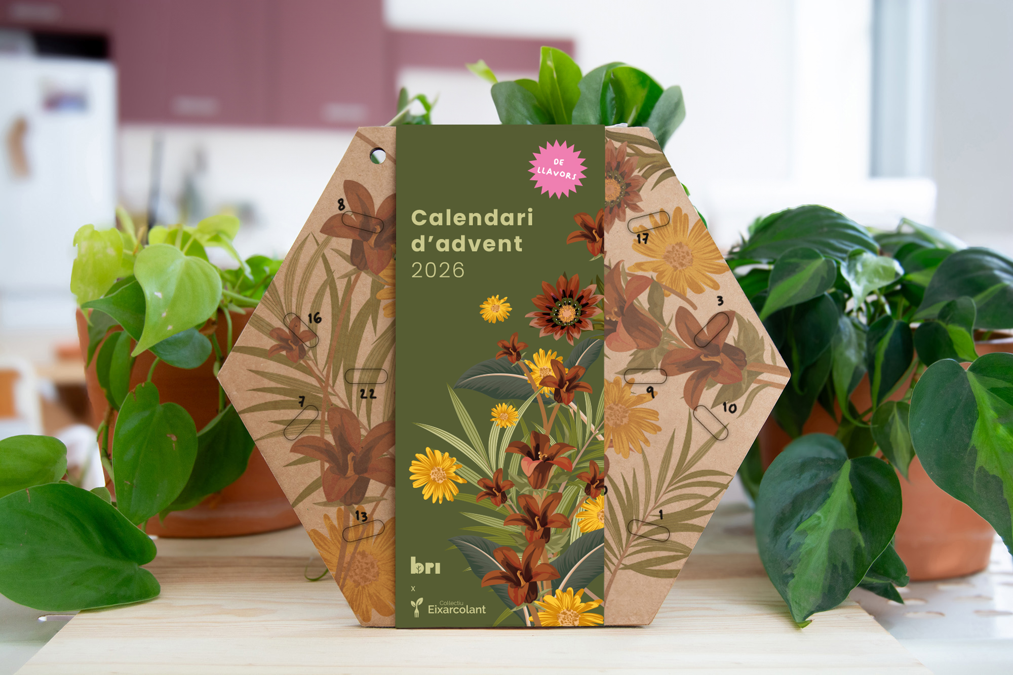 Calendario de Adviento Bridepalla de Eixarcolant