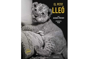 El petit lleó