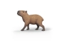 Capibara Schleich