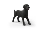 Llaurador Retriver femella negra Schleich