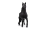 Caballo Luso Schleich