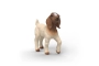 Cabrito Boer Schleich