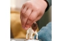 Cabrito Boer Schleich