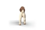 Cabrito Boer Schleich