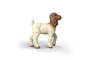 Cabrito Boer Schleich
