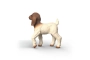 Cabrito Boer Schleich