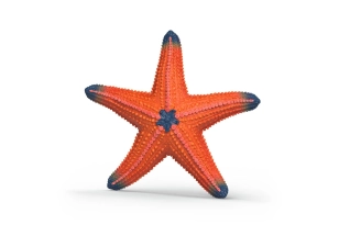 Estrella de mar que cambia de color Schleich