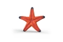 Estrella de mar que canvia de color Schleich