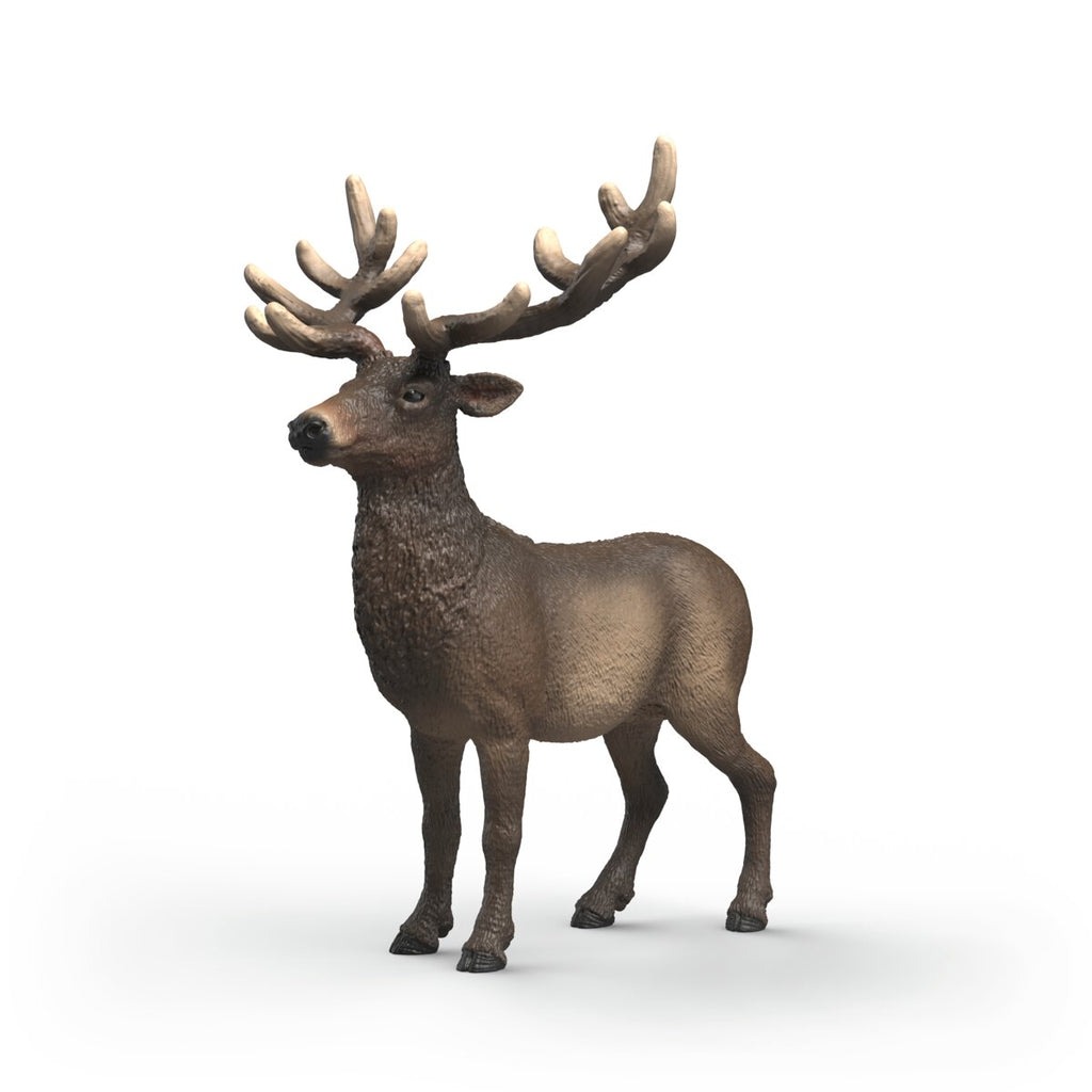 Ciervo rojo americano Schleich