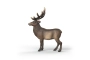 Cèrvol roig americà Schleich