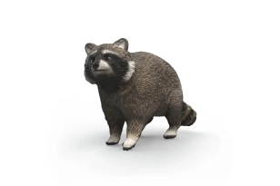 Mapache Schleich