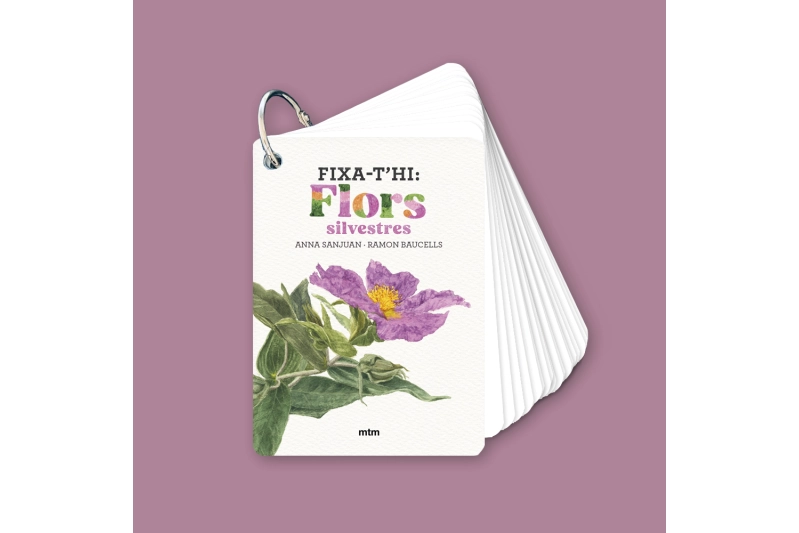 Fixa-t'hi: Flors silvestres