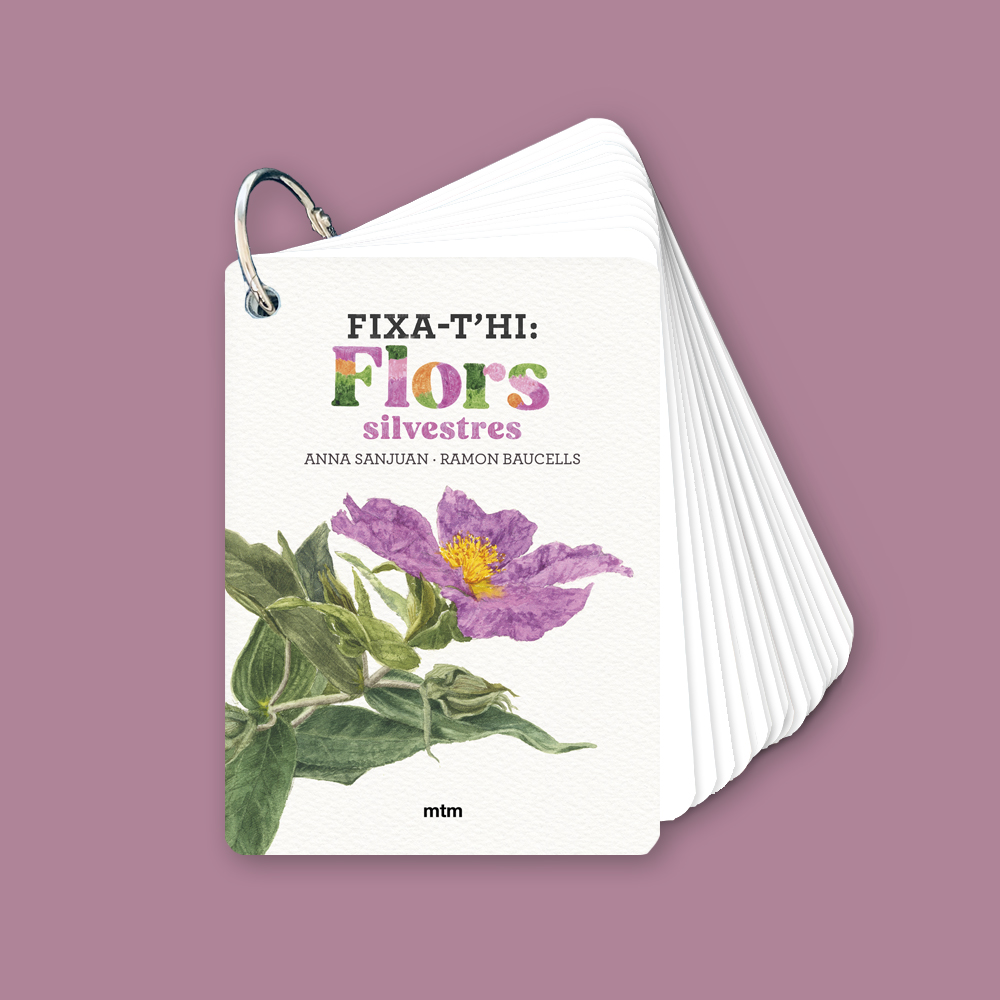 Fixa-t'hi: Flors silvestres