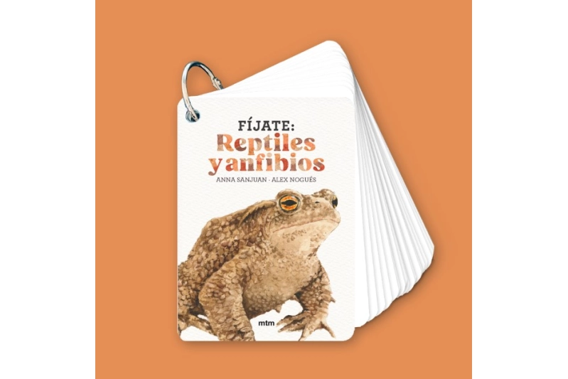 Fíjate: Reptiles y anfibios
