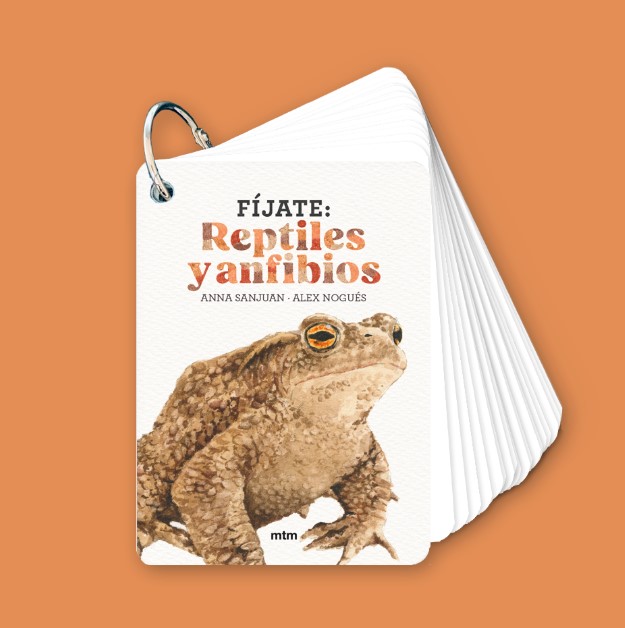 Fíjate: Reptiles y anfibios