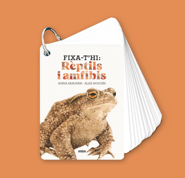 Fixa-t'hi: Rèptils i amfibis