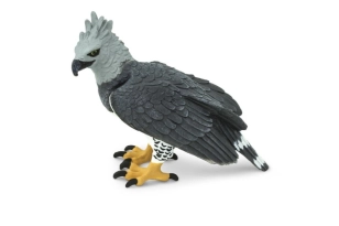 Àguila Harpia Safari Ltd.