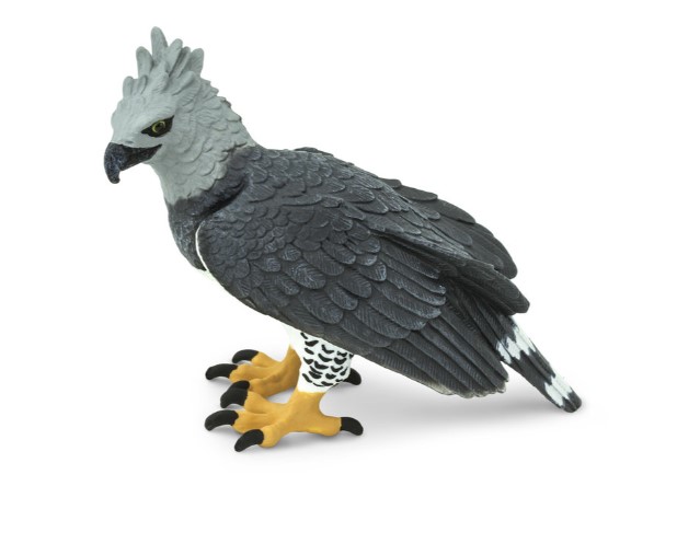 Àguila Harpia Safari Ltd.