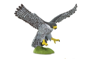 Falcó Pelegrí Safari Ltd.