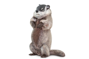 Marmota XL Safari Ltd.