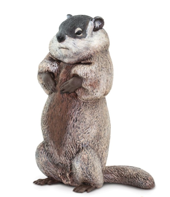 Marmota XL Safari Ltd.