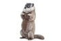 Marmota XL Safari Ltd.
