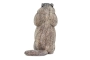 Marmota XL Safari Ltd.
