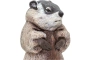 Marmota XL Safari Ltd.
