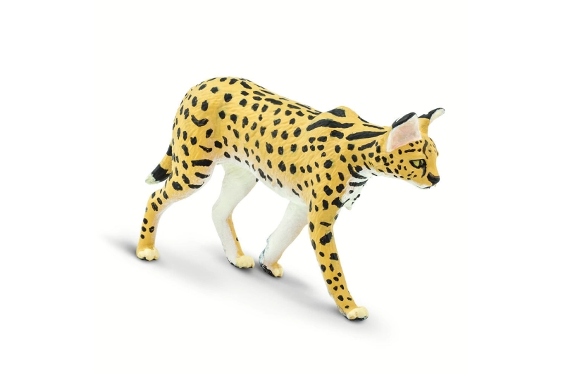 Serval Safari Ltd.