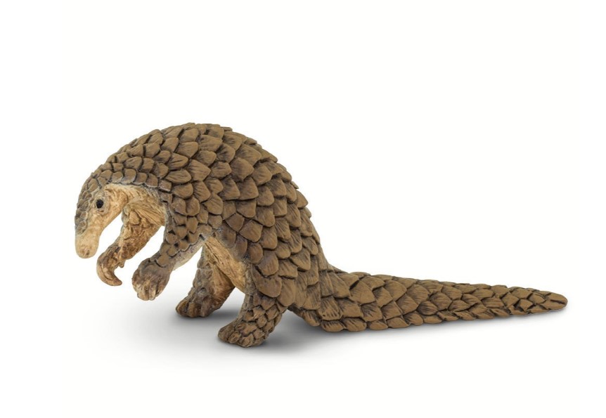 Pangolí Safari Ltd.