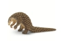 Pangolín Safari Ltd.