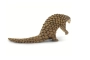 Pangolín Safari Ltd.