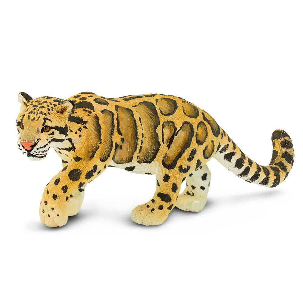 Leopardo de las nieves Safari Ltd.