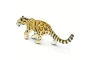 Leopardo de las nieves Safari Ltd.