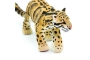 Leopardo de las nieves Safari Ltd.