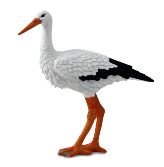 Cigonya Safari Ltd.