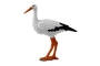 Cigüeña Safari Ltd.