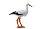 Cigonya Safari Ltd.