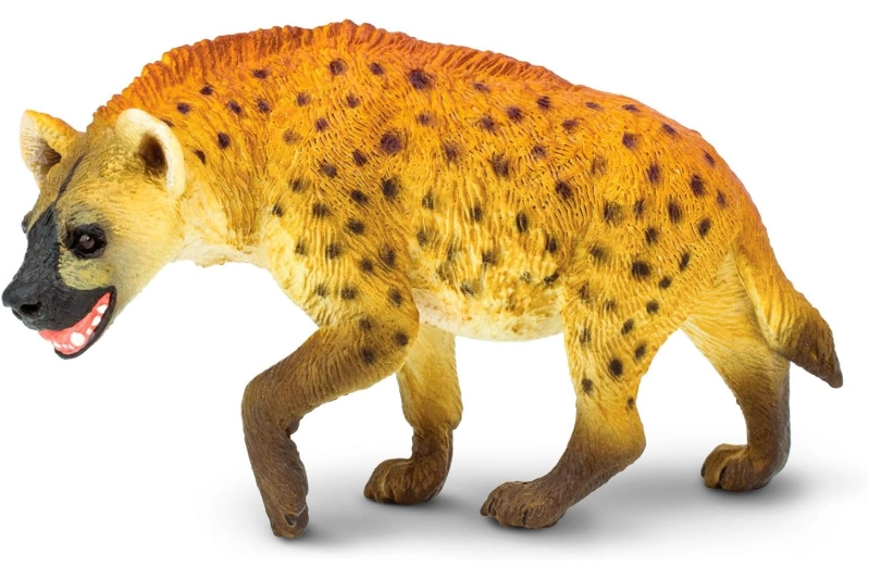 Hiena Safari Ltd.