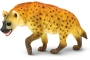 Hiena Safari Ltd.