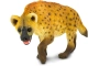 Hiena Safari Ltd.