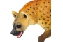 Hiena Safari Ltd.