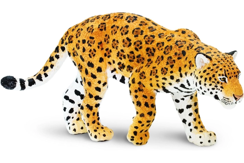 Jaguar Safari Ltd.