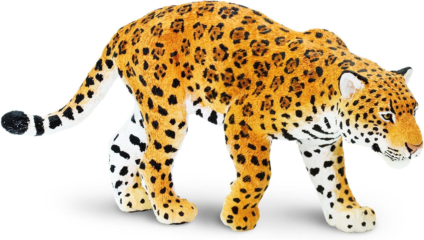 Jaguar Safari Ltd.