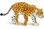 Jaguar Safari Ltd.
