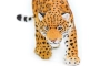 Jaguar Safari Ltd.