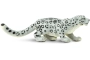 Lleopard de les neus Safari Ltd.