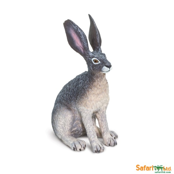 Liebre del desierto Safari Ltd.